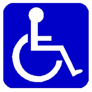 W3C Disability Access